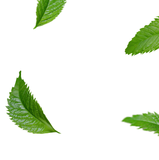 leaf-top-right