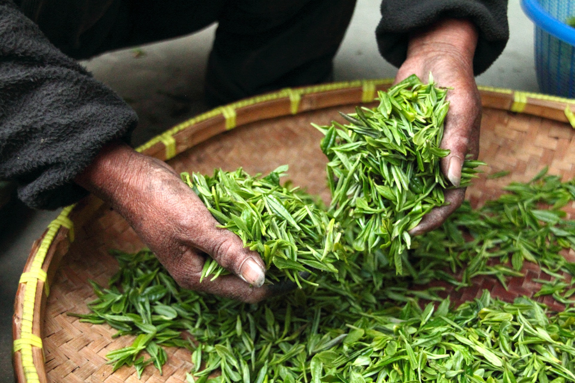 Indian Tea Market